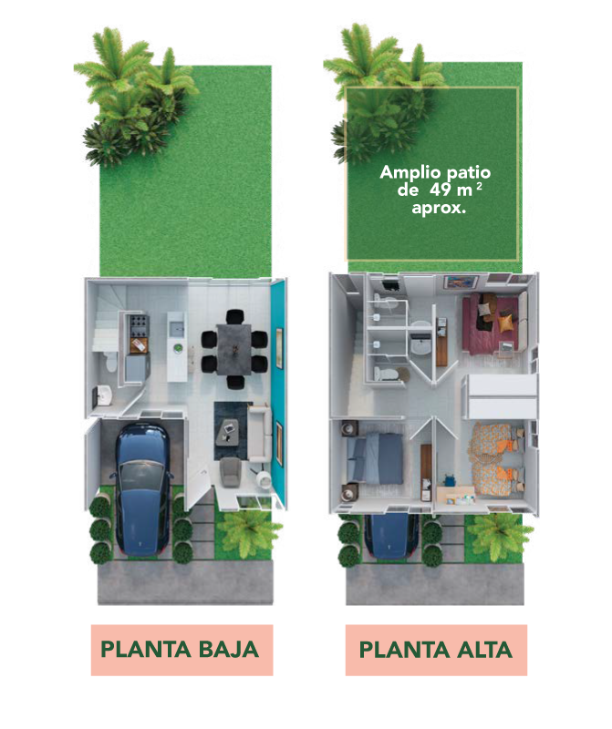 Planta-Ceiba-Plus