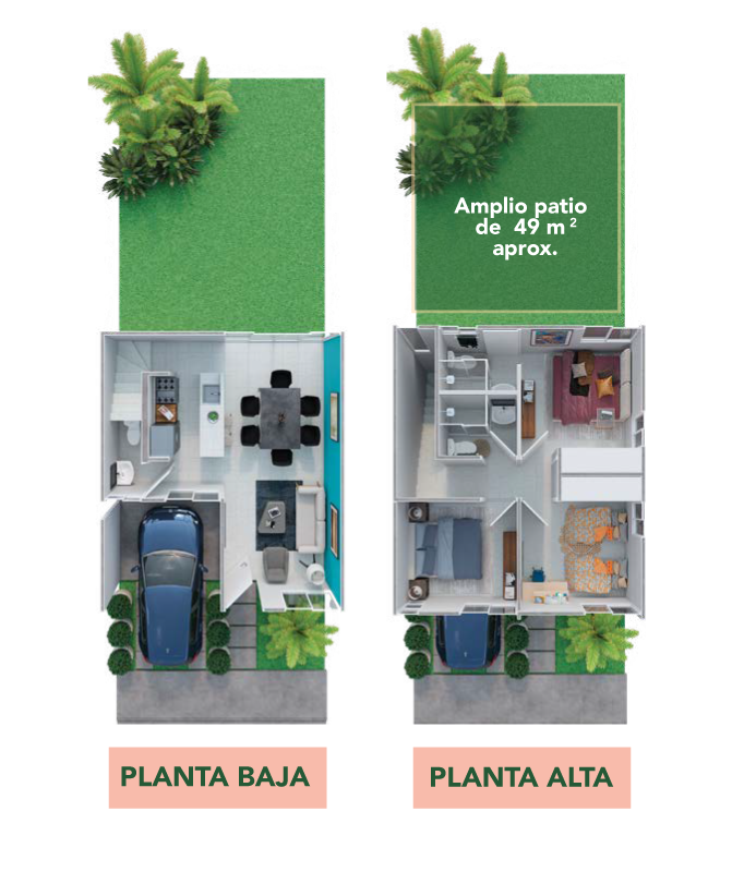 Planta-Ceiba-Plus Planta-Ceiba-Plus