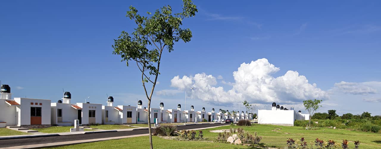 encinos